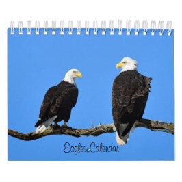 Adler 2 kalender