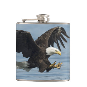 Adler auf Ansatz Flachmann
