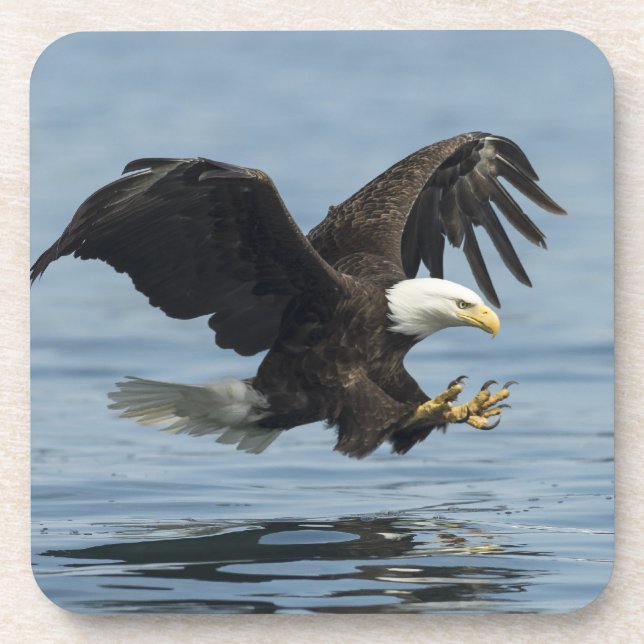 Adler auf Ansatz Getränkeuntersetzer (Vorderseite)