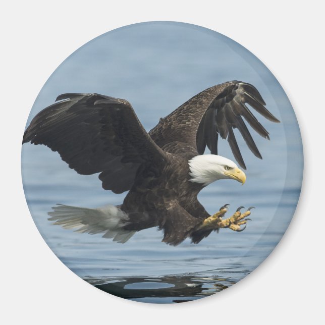 Adler auf Ansatz Magnet (Vorne)
