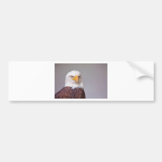 Adler Autoaufkleber (Vorne)
