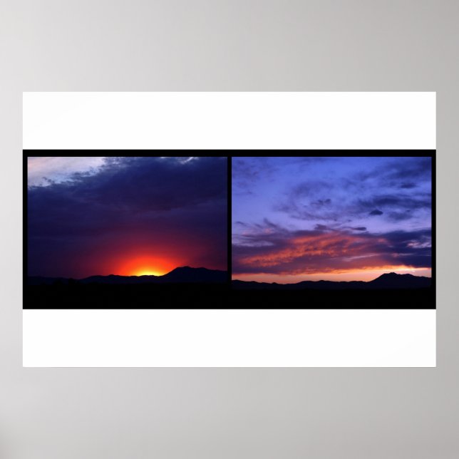 Adler Back Poster (Vorne)