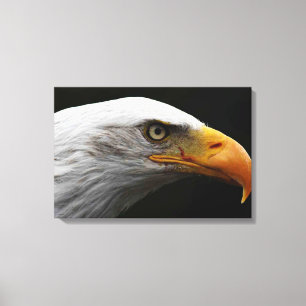 Adler Bald 24x16 (60x40cm) waccna Leinwanddruck