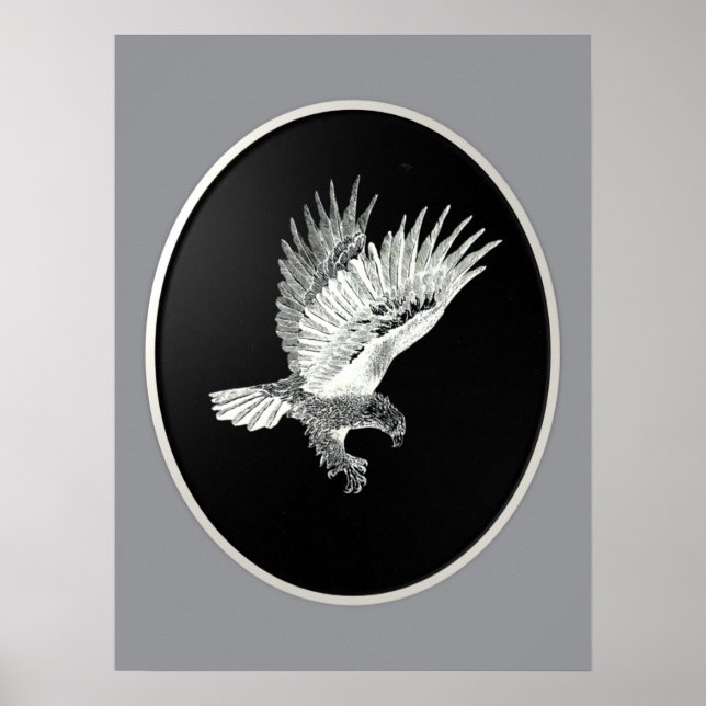 Adler bei Nacht  Poster (Vorne)