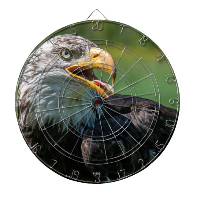 Adler Dart Spiel Dartscheibe (vorne)