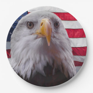 Adler der Amerikanischen Bald und die amerikanisch Pappteller
