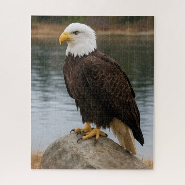Adler der stillen Küsten (Vertikal)
