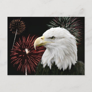 Adler des Unabhängigkeitstages Postkarte