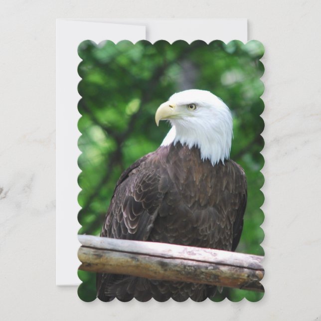 Adler Einladung (Vorderseite)