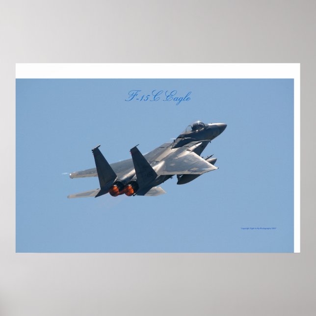 Adler F-15C Poster (Vorne)