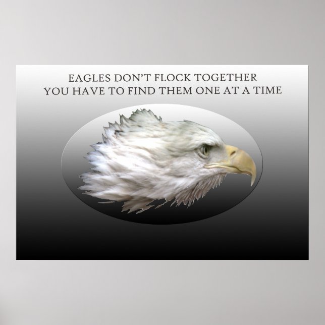 Adler fliegen nicht zusammen poster (Vorne)