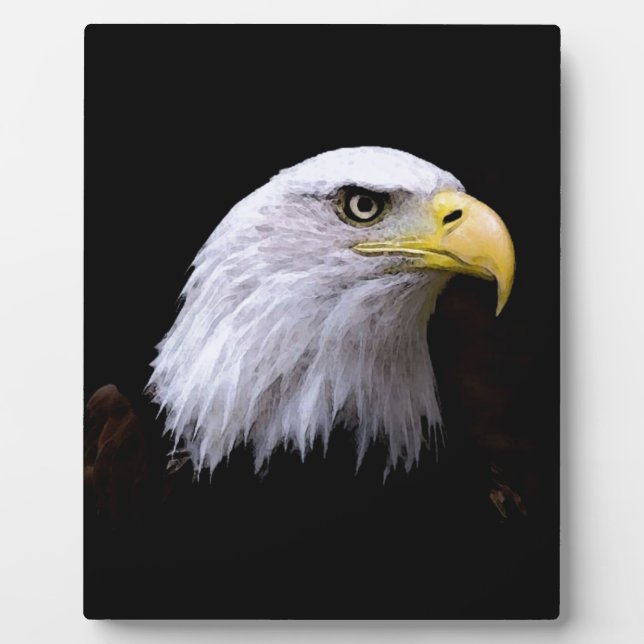 Adler Fotoplatte (Vorderseite)