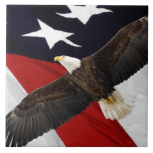 Adler im Fliegen über amerikanische Flagge Fliese
