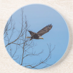 Adler im Flug Getränkeuntersetzer