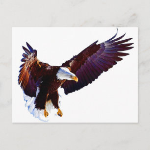 Adler im Flug Postkarte