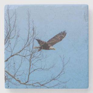 Adler im Flug Steinuntersetzer