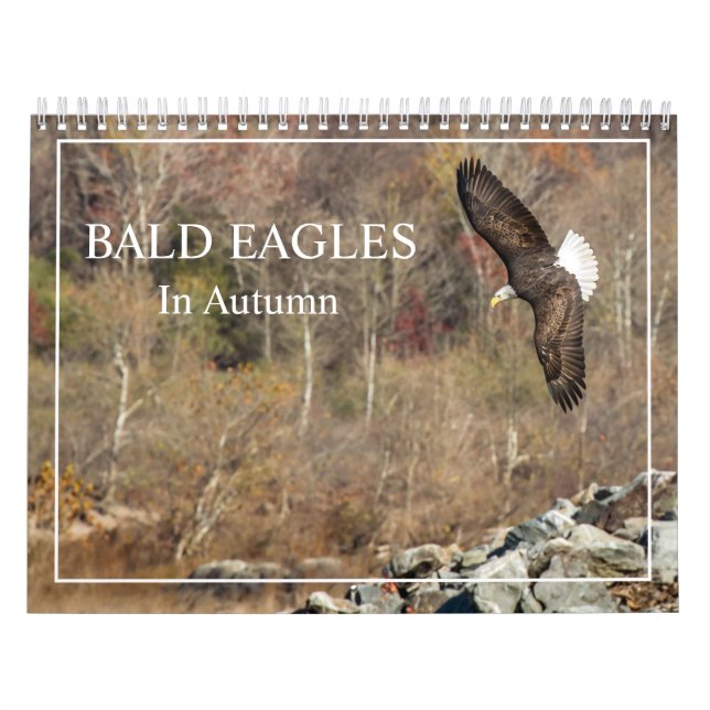 Adler im Herbst Kalender (Titelbild)