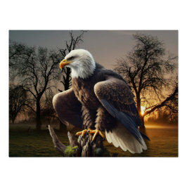 Adler in der Wildnis Poster