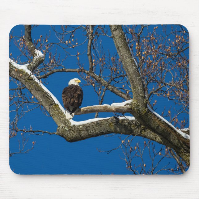 Adler in einem Schneebaum Mousepad (Vorne)