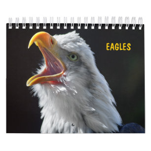 Adler-Kalender Kalender