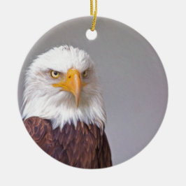 Adler Keramikornament