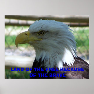Adler, LAND DES FREIEN WEGEN DER BRAVE Poster