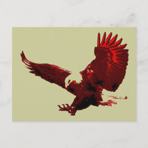Adler Landung - Adler im Flug Postkarten