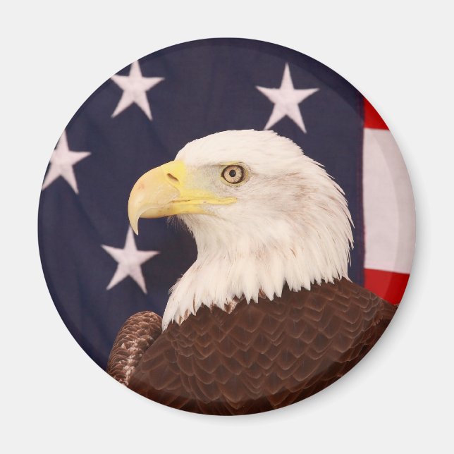 Adler Magnet (Vorne)