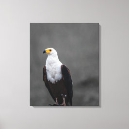 Adler Minimalistische selektive Farbfotografie Leinwanddruck