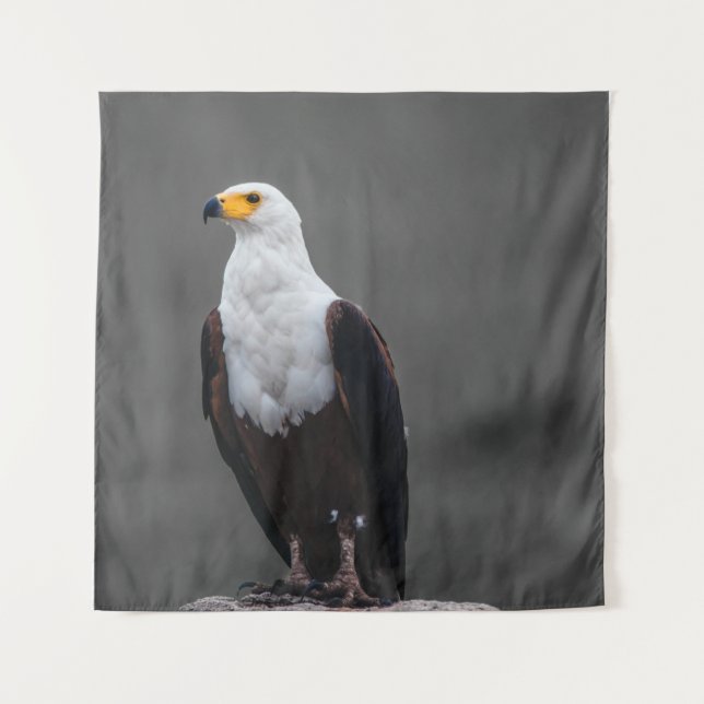 Adler Minimalistische selektive Farbfotografie Wandteppich (Vorderseite)