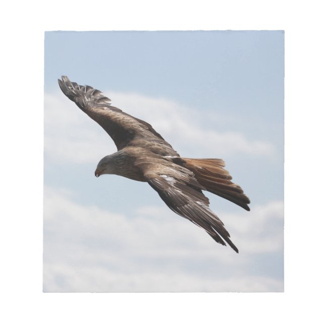 Adler Notizblock (Vorderseite)