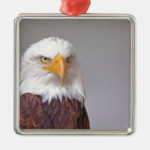 Adler Ornament Aus Metall