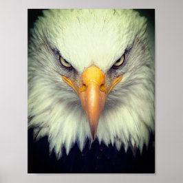 Adler Poster
