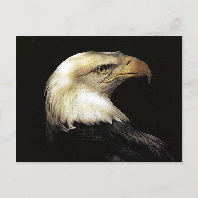 Adler Postkarte (Vorderseite)