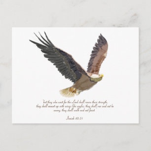 Adler Postkarte