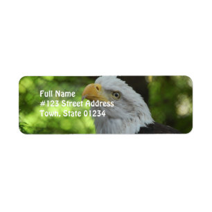 Adler-Rücksendeadresse Mailng Aufkleber