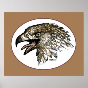 Adler schreit poster