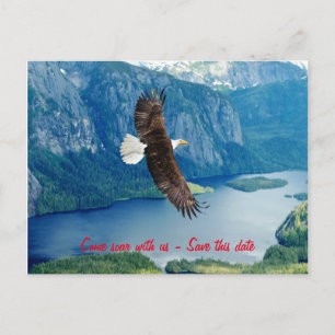 Adler schwebend Einladungs-Postkarte Einladungspostkarte