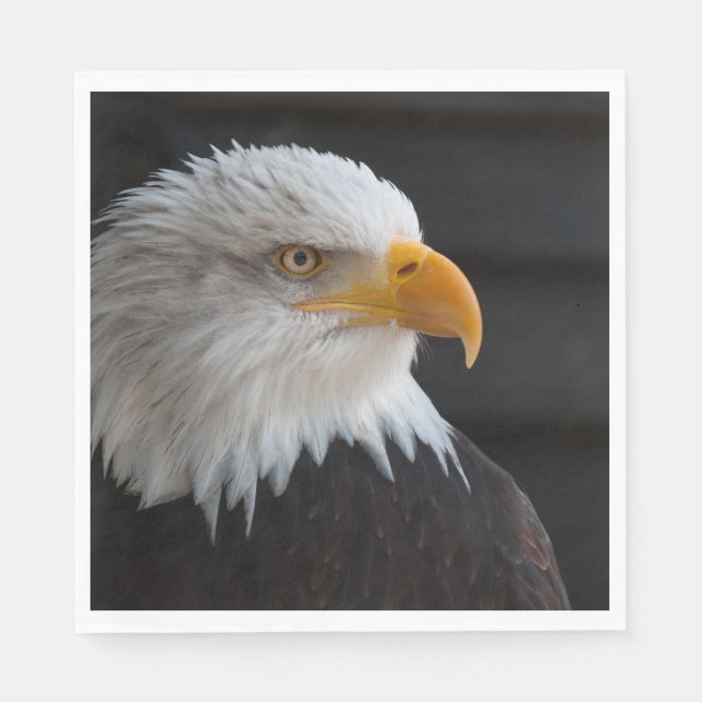 Adler Serviette (Vorderseite)