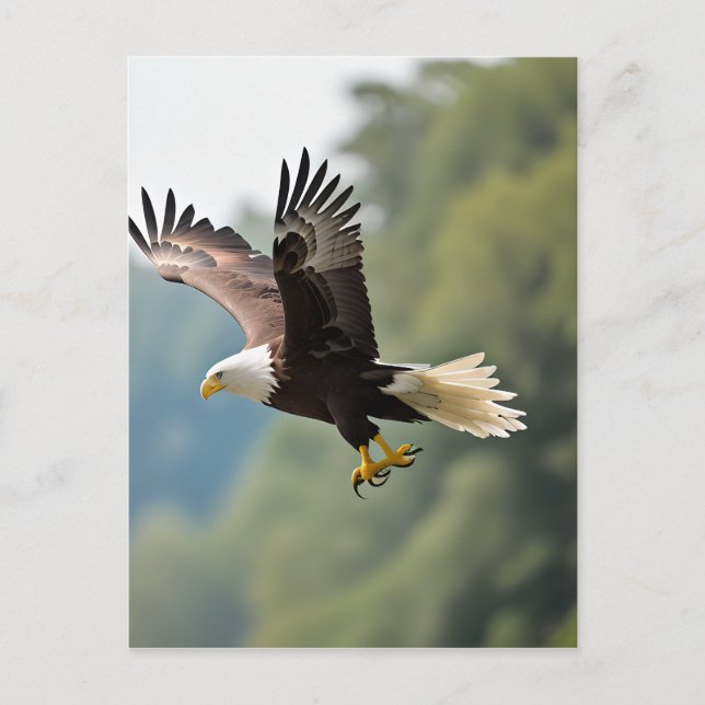 Adler stürzt durch den Himmel Postkarte (Vorderseite)