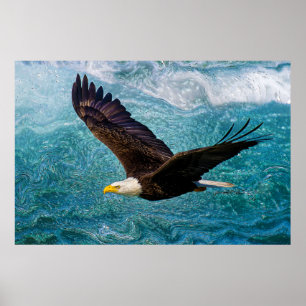 Adler über dem Sturm Poster