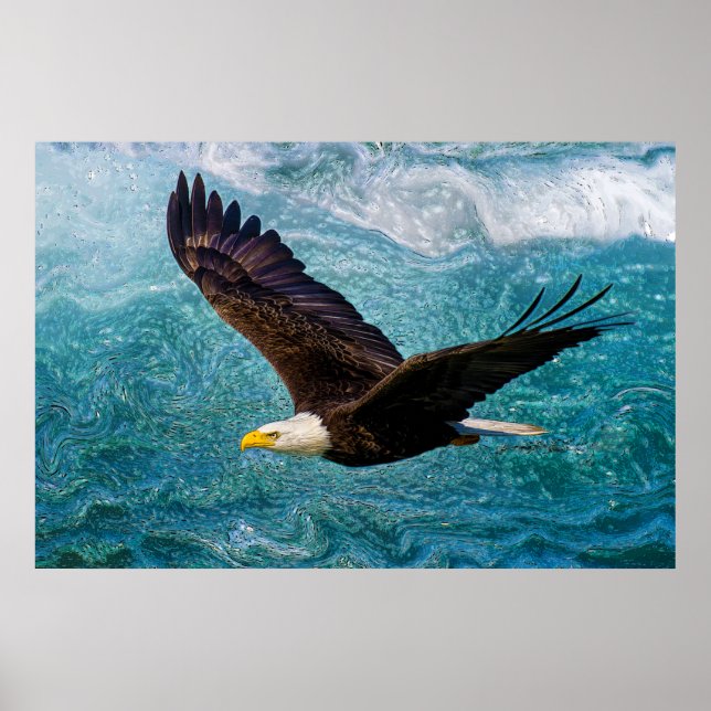 Adler über dem Sturm Poster (Vorne)