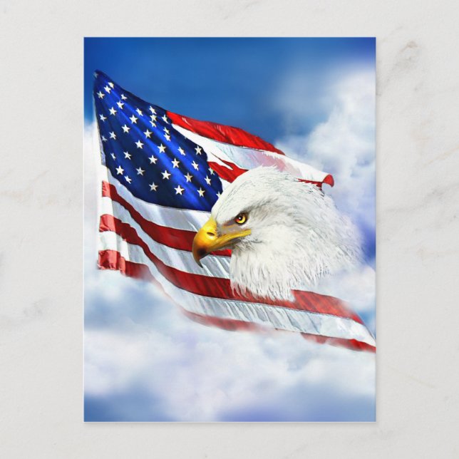 Adler und amerikanische Flagge Postkarte (Vorderseite)