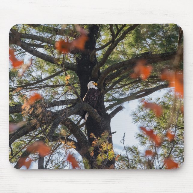 Adler und Fallende Blätter Mousepad (Vorne)