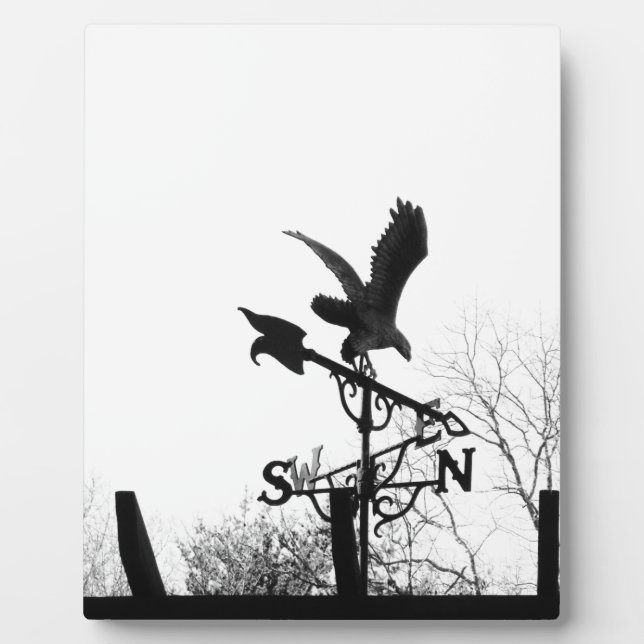 Adler und Pfeil Fotoplatte (Vorderseite)