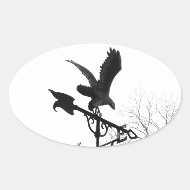 Adler und Pfeil Ovaler Aufkleber (Vorderseite)