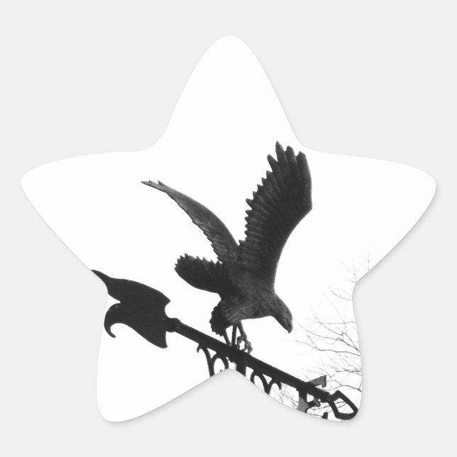 Adler und Pfeil Stern-Aufkleber (Vorderseite)