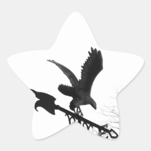 Adler und Pfeil Stern-Aufkleber