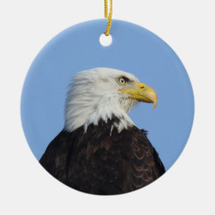 Adler, Wildtiere, Vögel, Keramik Ornament