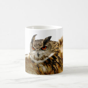 Adlereule in der Flug-Tasse Kaffeetasse